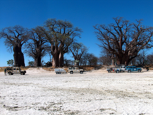 Nxai Pan National Park